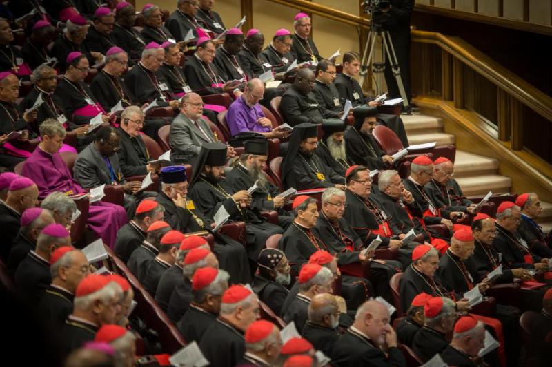 Cardinal Vincent Gives Half Time Update on Synod