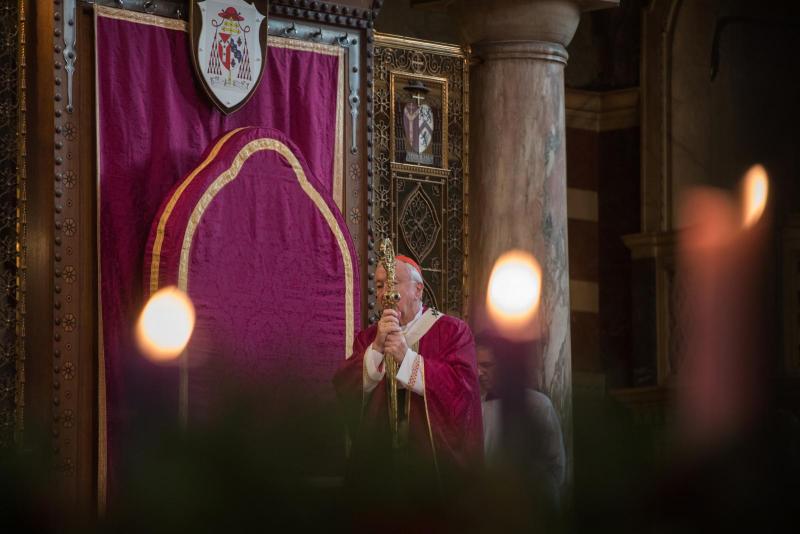 Cardinal's homily for Second Sunday of Advent 