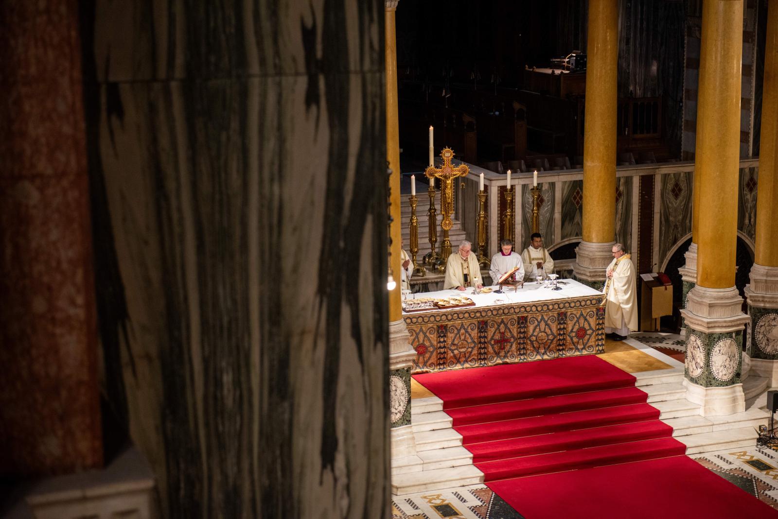 Cardinal's Homily for Mass in Honour of Our Lady of Lourdes 2025