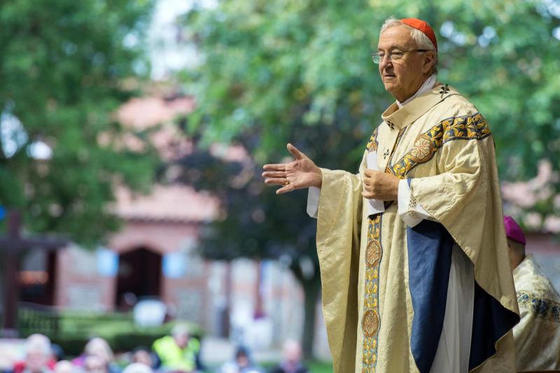 Cardinal's homily for Walsingham pilgrimage Mass