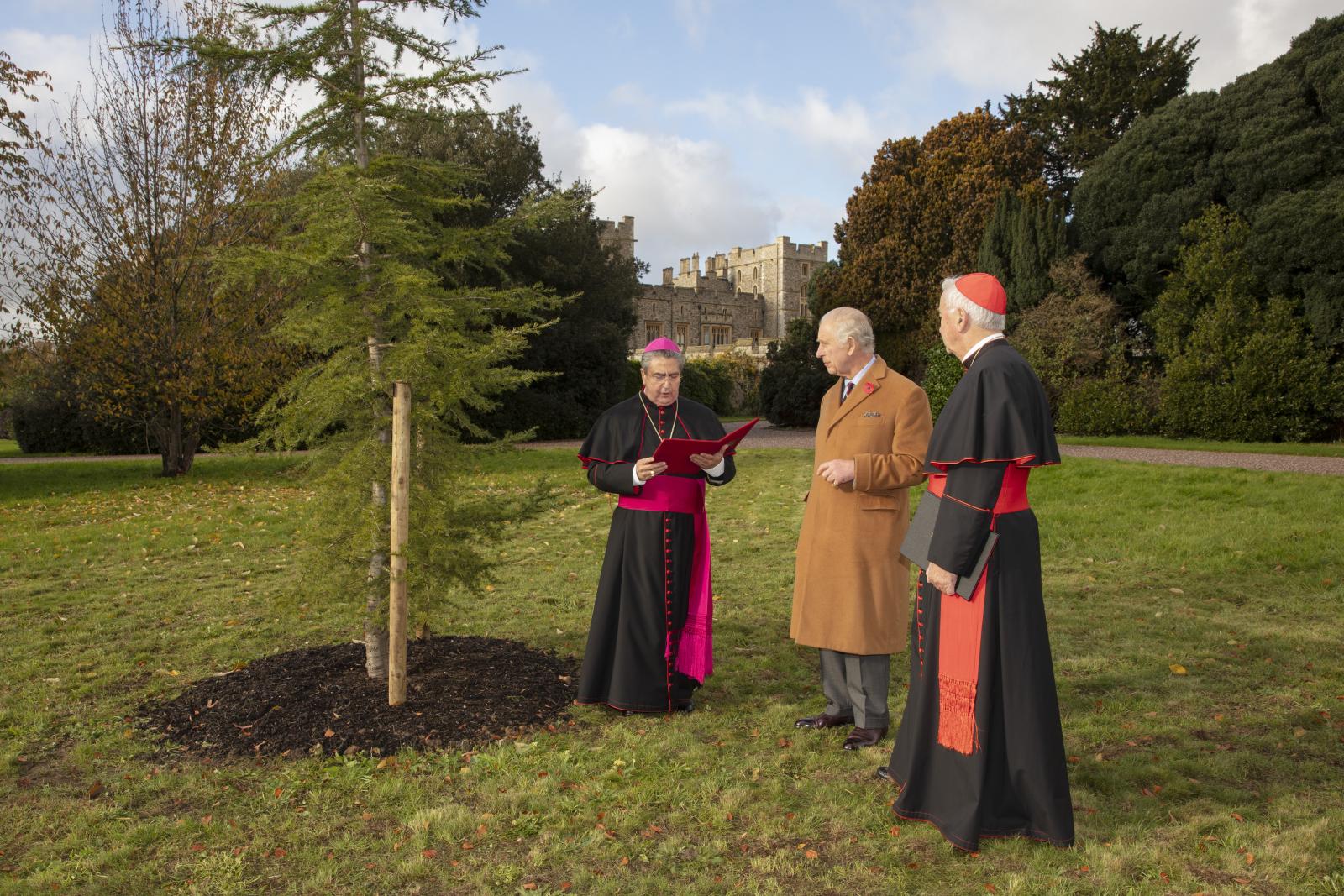 A new tree for Windsor Castle - Diocese of Westminster