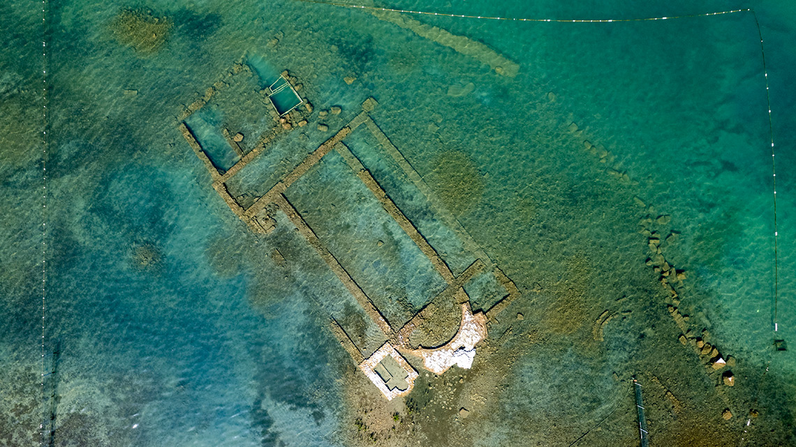 Cardinal prays for Pope Leo on first overseas visit and welcomes his Apostolic Letter on Nicaea Anniversary