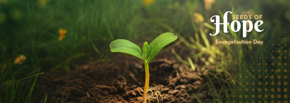 Seeds of Hope - Diocese of Westminster