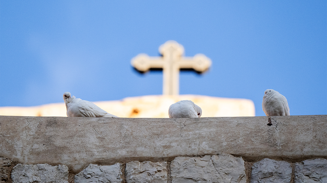 Bishops Hudson and Curry welcome de-escalation of Iranian conflict