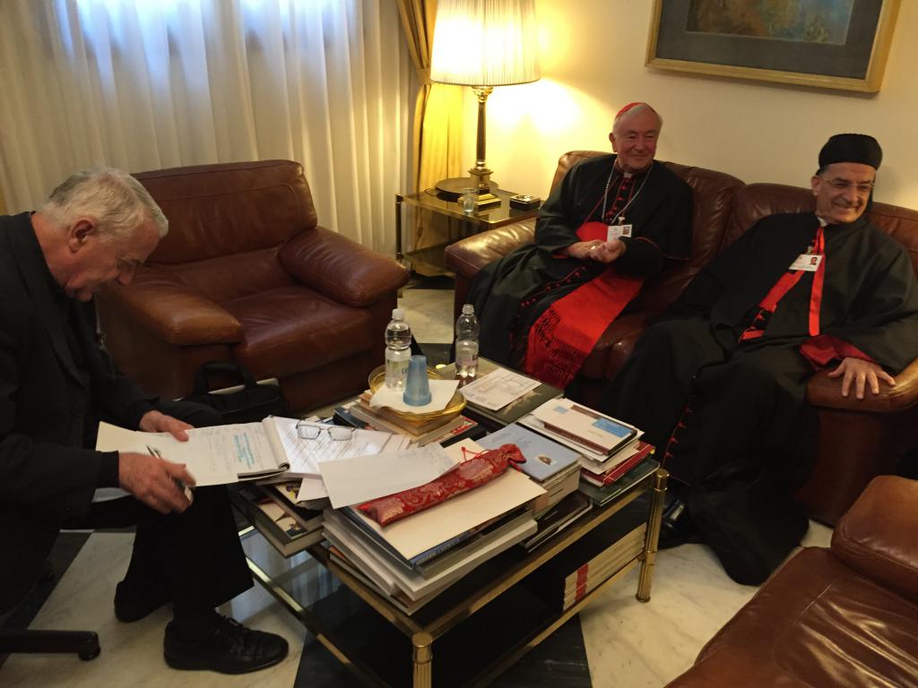 Cardinal takes part in Synod Press Conference in Rome