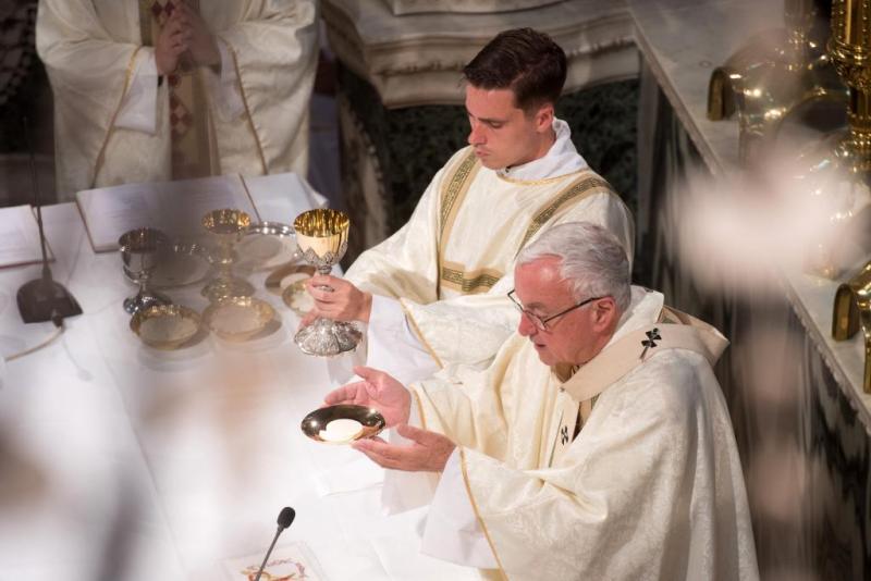 Cardinal reflects on 50 years of priesthood