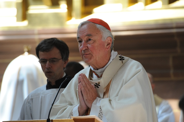 Letter from the Cardinal: Safeguarding in the Church today