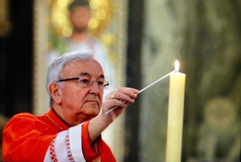 Cardinal expresses sorrow and shame about abuse in the Church
