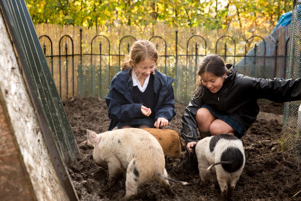 St Augustine's Priory Farm Nominated for School Farm Awards  - Diocese of Westminster
