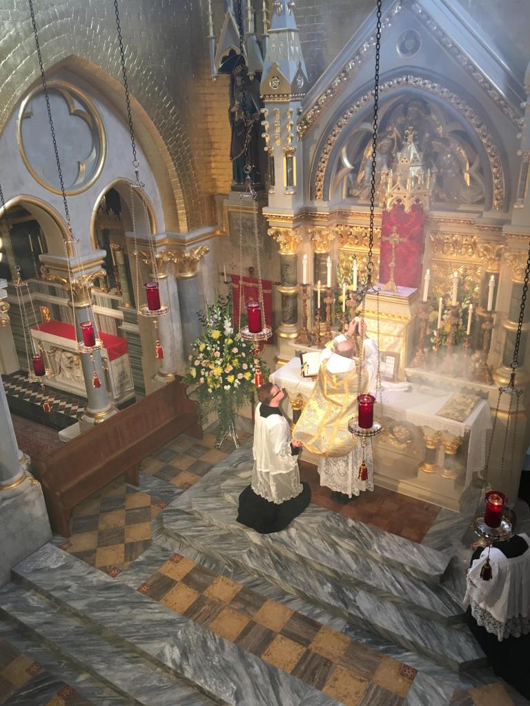 London’s very own Adoremus - Diocese of Westminster