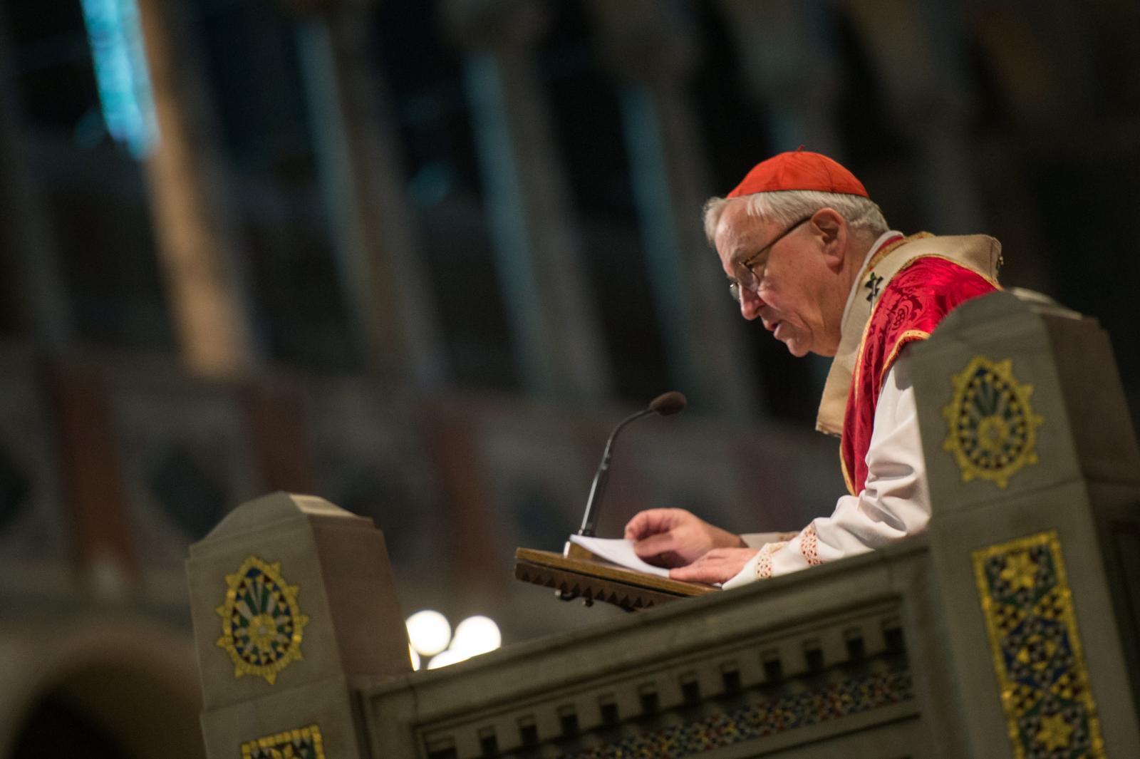Cardinal’s homily for Palm Sunday 2022