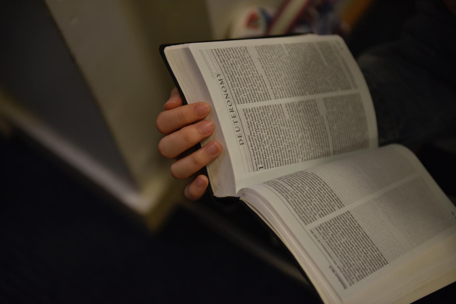 Homily for Sunday of the Word of God 2022