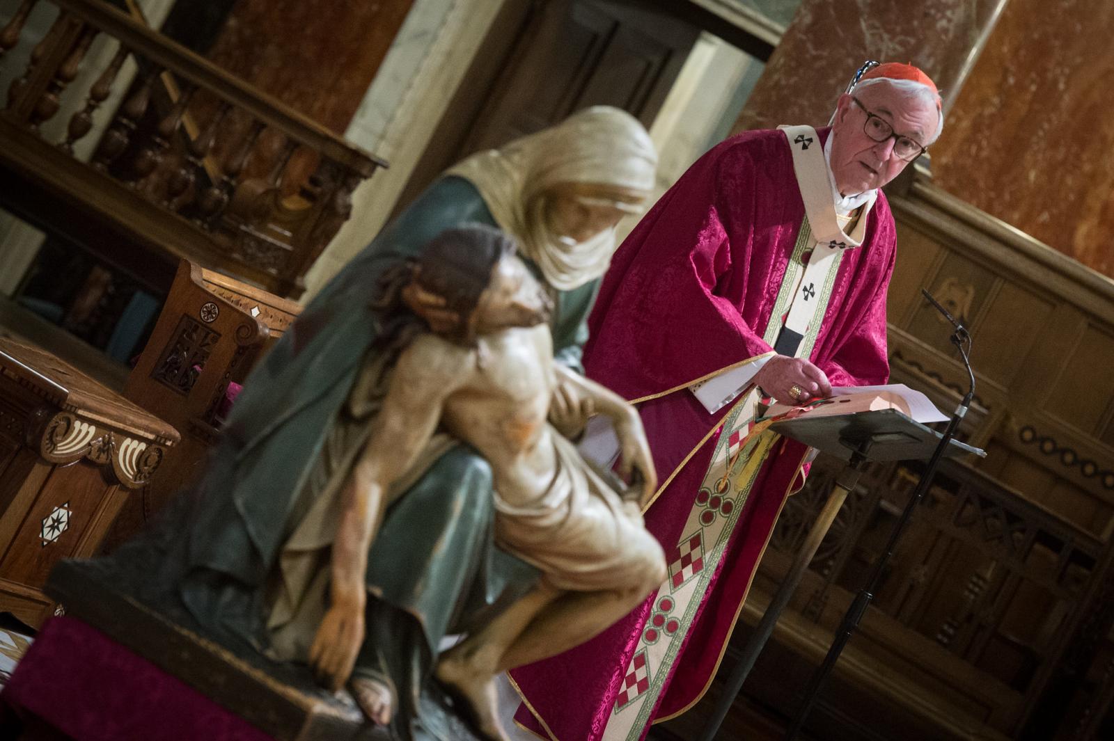 Cardinal asks for special prayers for peace for the Holy Land