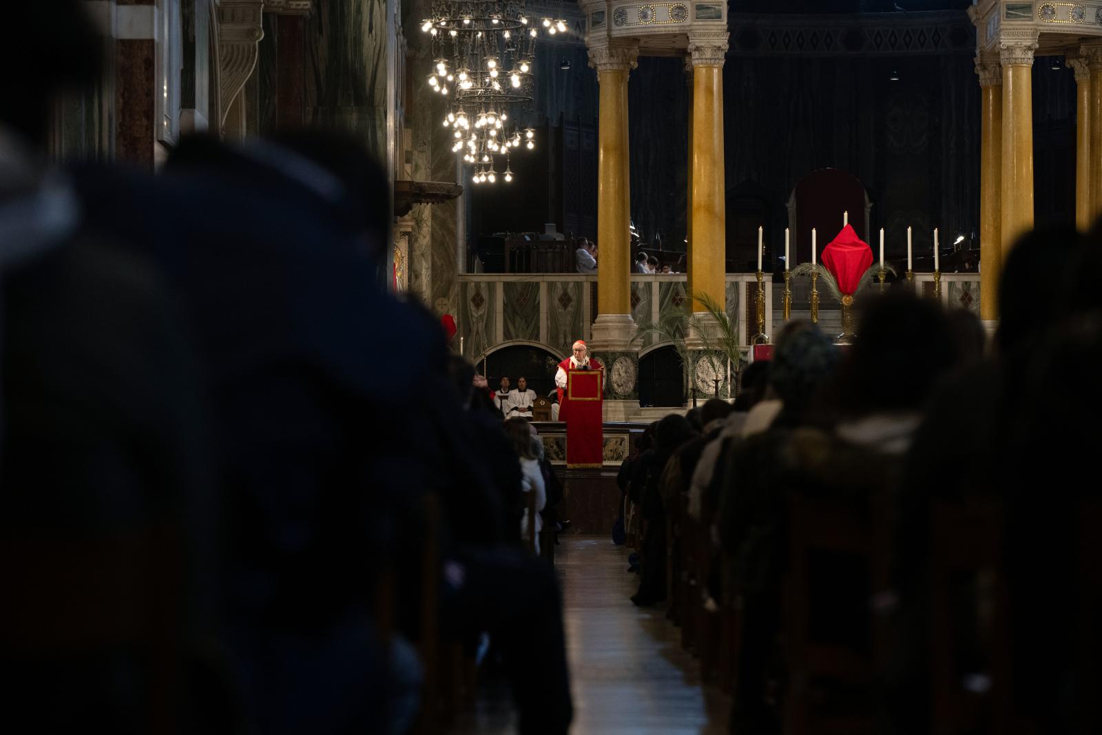 Cardinal’s Homily for Palm Sunday 2025