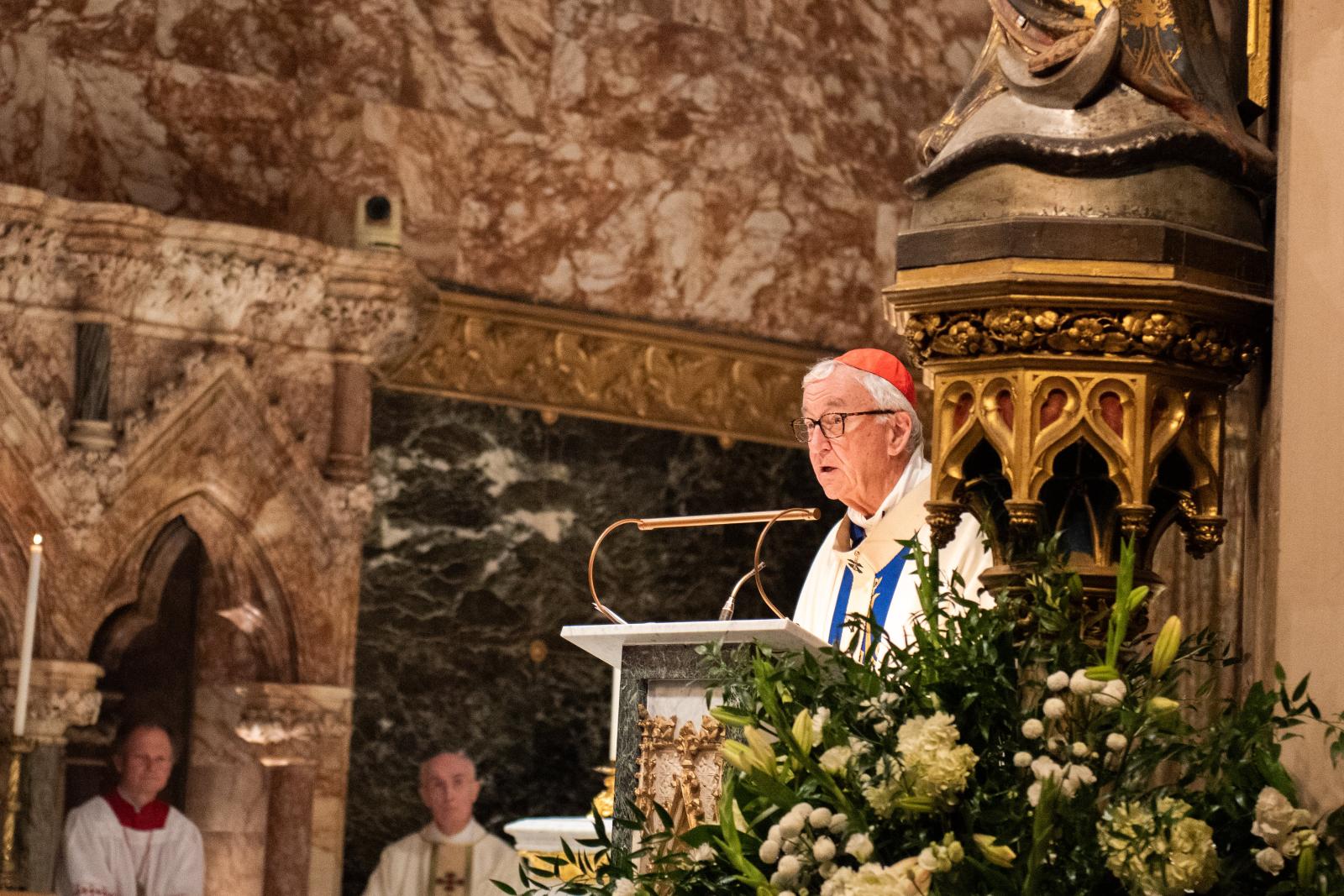 Cardinal’s Homily for the Feast of the Immaculate Conception
