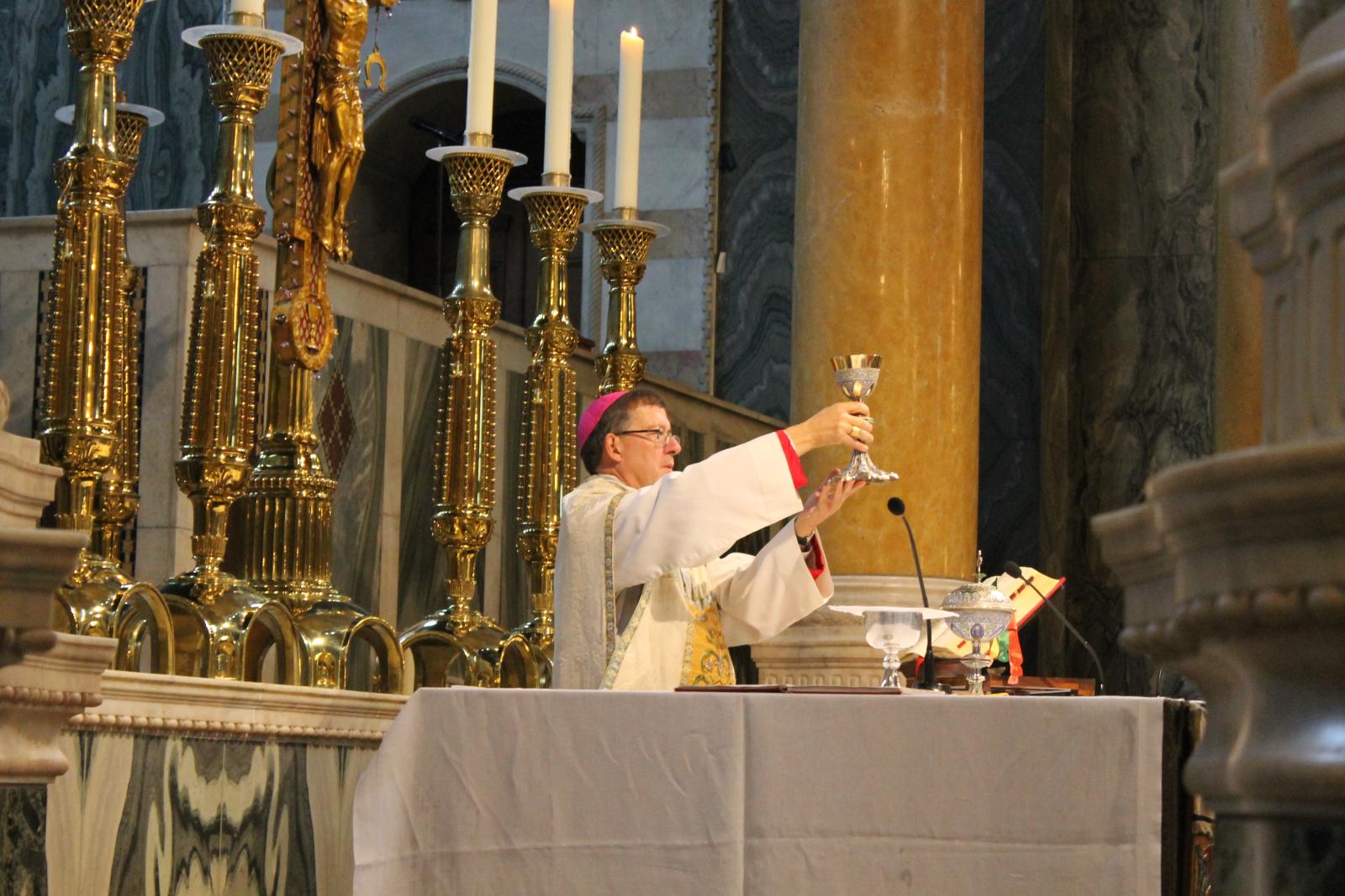 Homily for Walsingham Pilgrimage Mass 2021