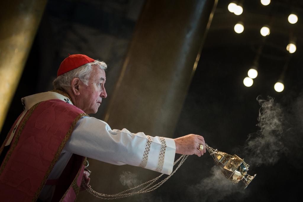 Cardinal speaks in support of mothers and unborn children