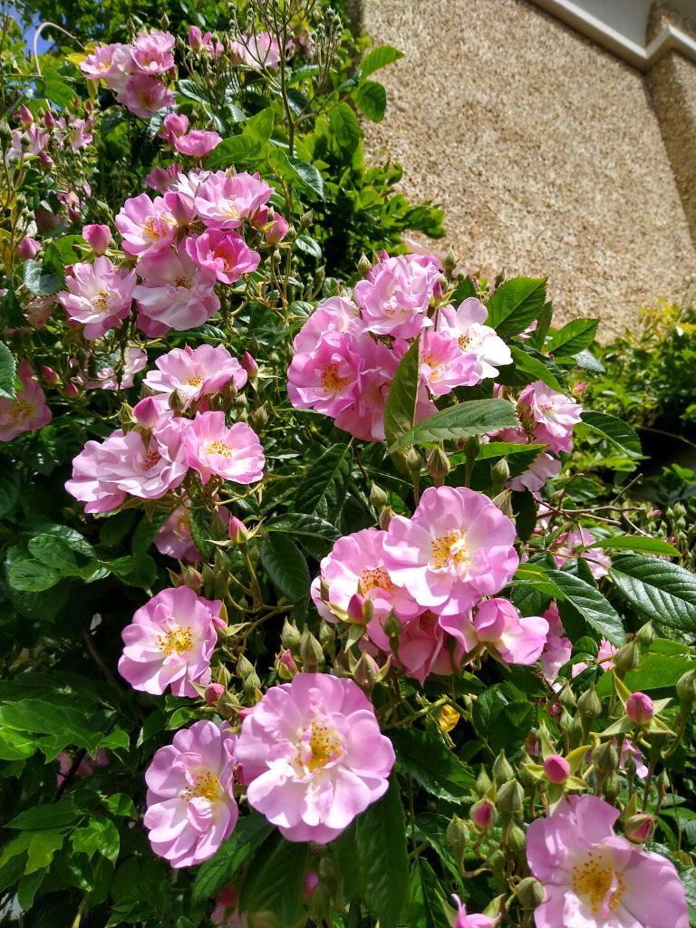 Finding healing, renewal and rediscovery in marriage